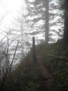 11.22.06 Cape Horn 004 